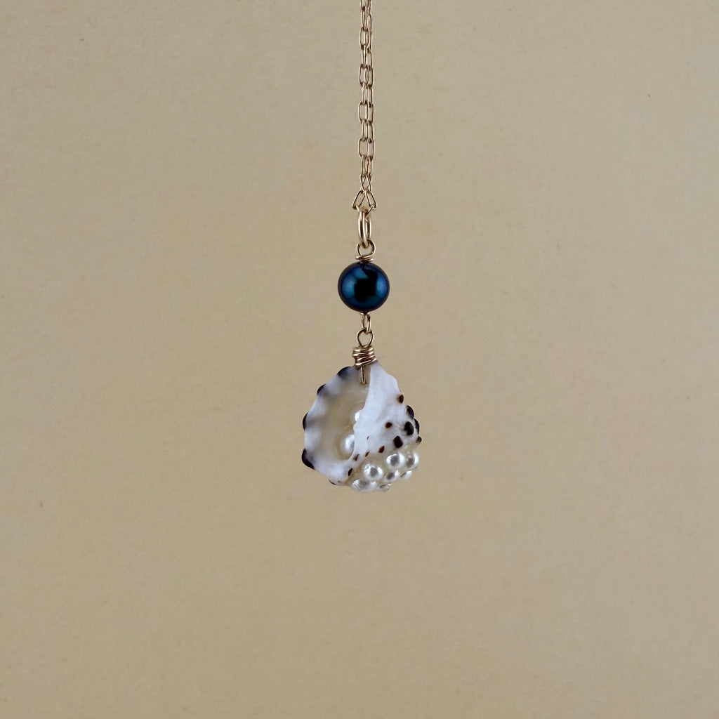 Buried Treasure Drupe | Buried Treasure Collection