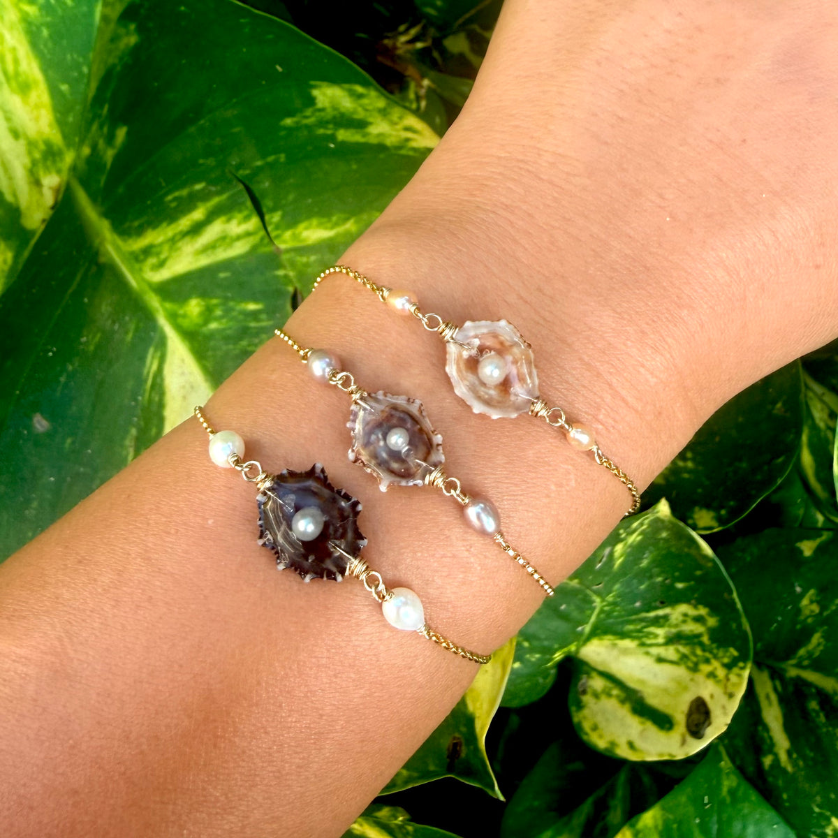 Opihi Awa Bracelet | Buried Treasure Collection